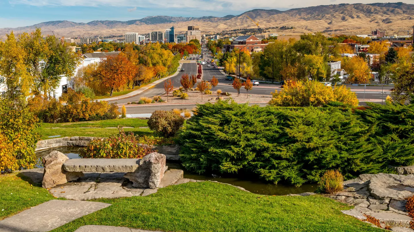 Fall trees with autumn colours line the streets of a low-rise city in a mountainous region