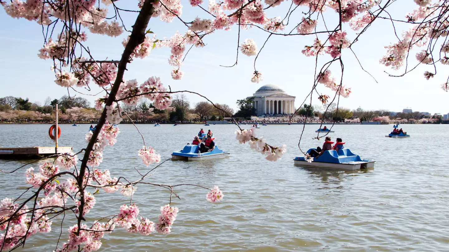 With a little planning, a trip to Washington, DC, will tick all your boxes © ©Julia Kim / Getty Images