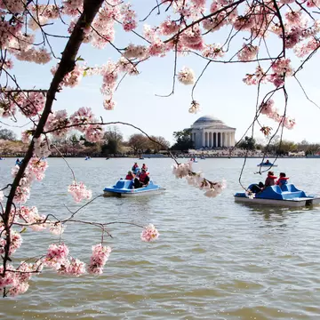 With a little planning, a trip to Washington, DC, will tick all your boxes © ©Julia Kim / Getty Images