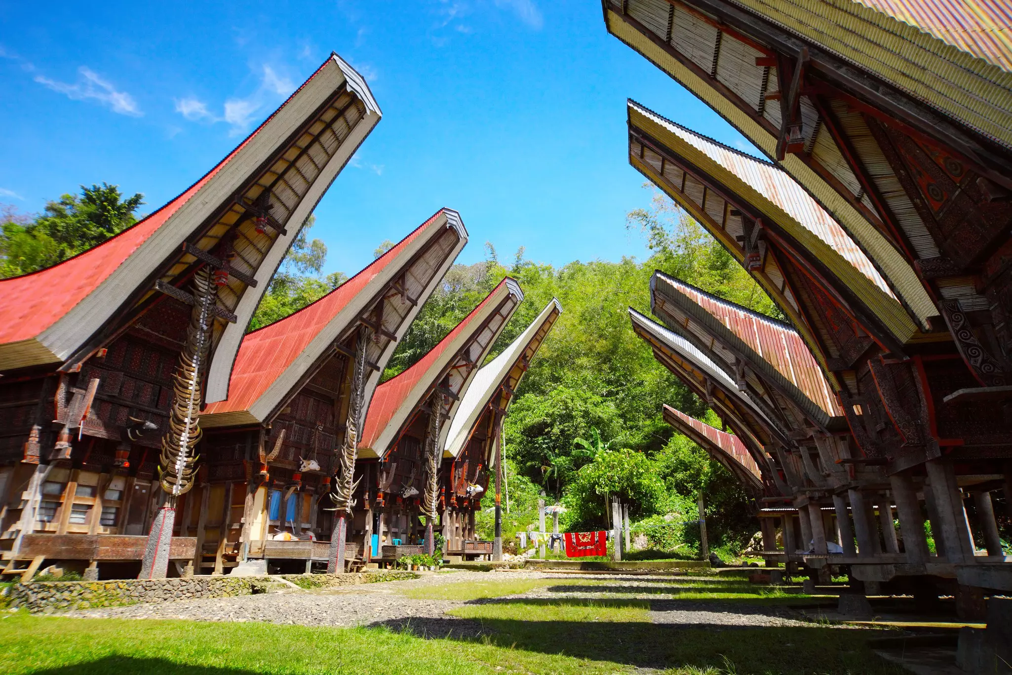 Two rows of wooden houses facing each other, each with a distinctive curve and point to its roof.