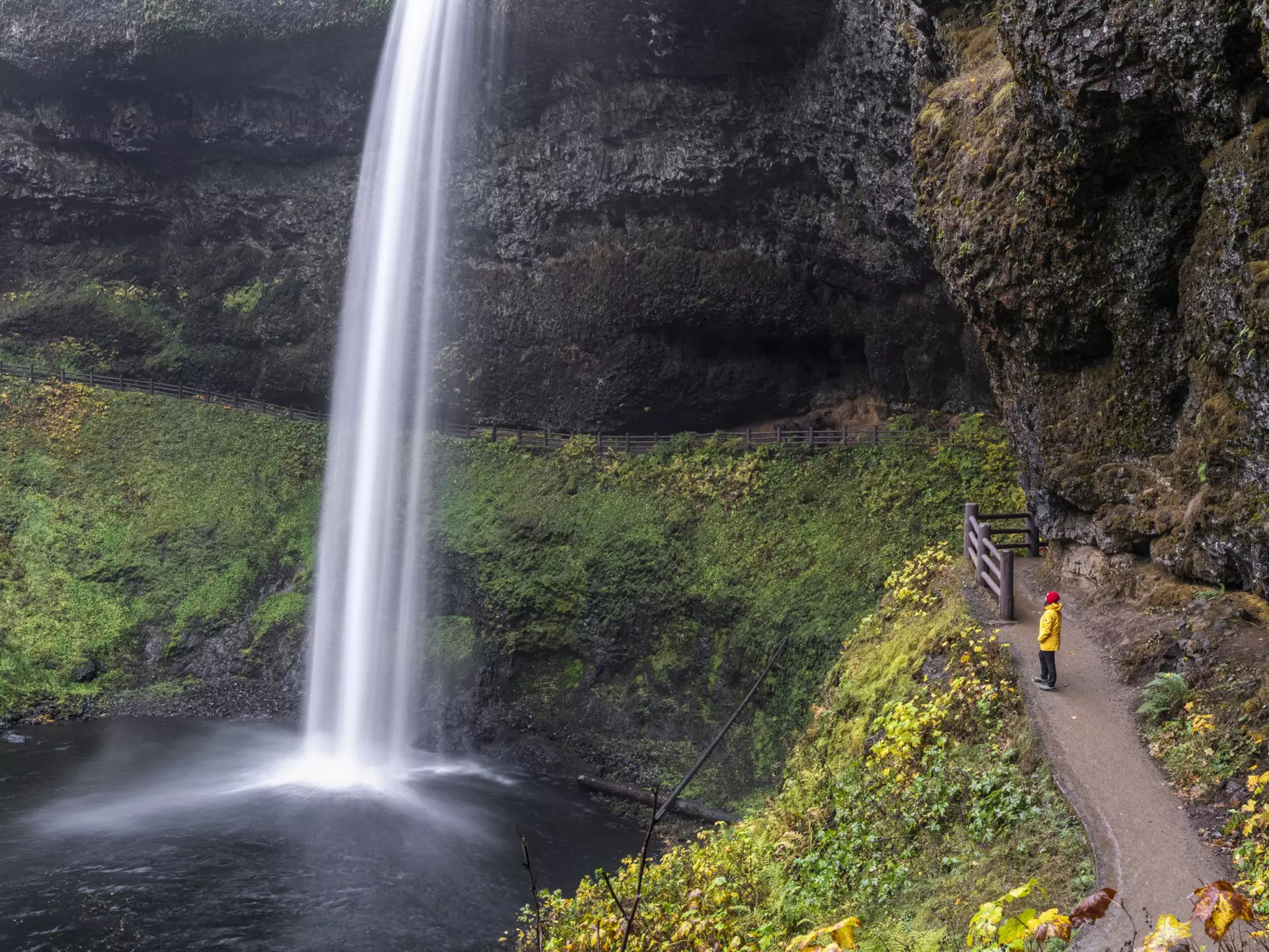 Get out and explore the Beaver State with this guide to Oregon's best hiking routes © Francesco Vaninetti Photo / Getty Images