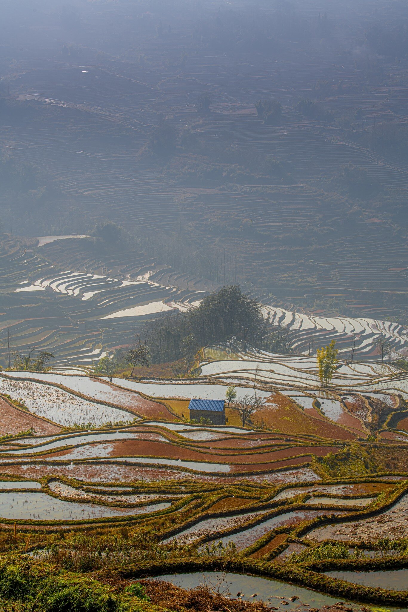 View of a Yuanyang rice terraces from the Bada scenic area in Yunnan province, China. 