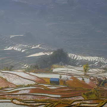 View of a Yuanyang rice terraces from the Bada scenic area in Yunnan province, China. 