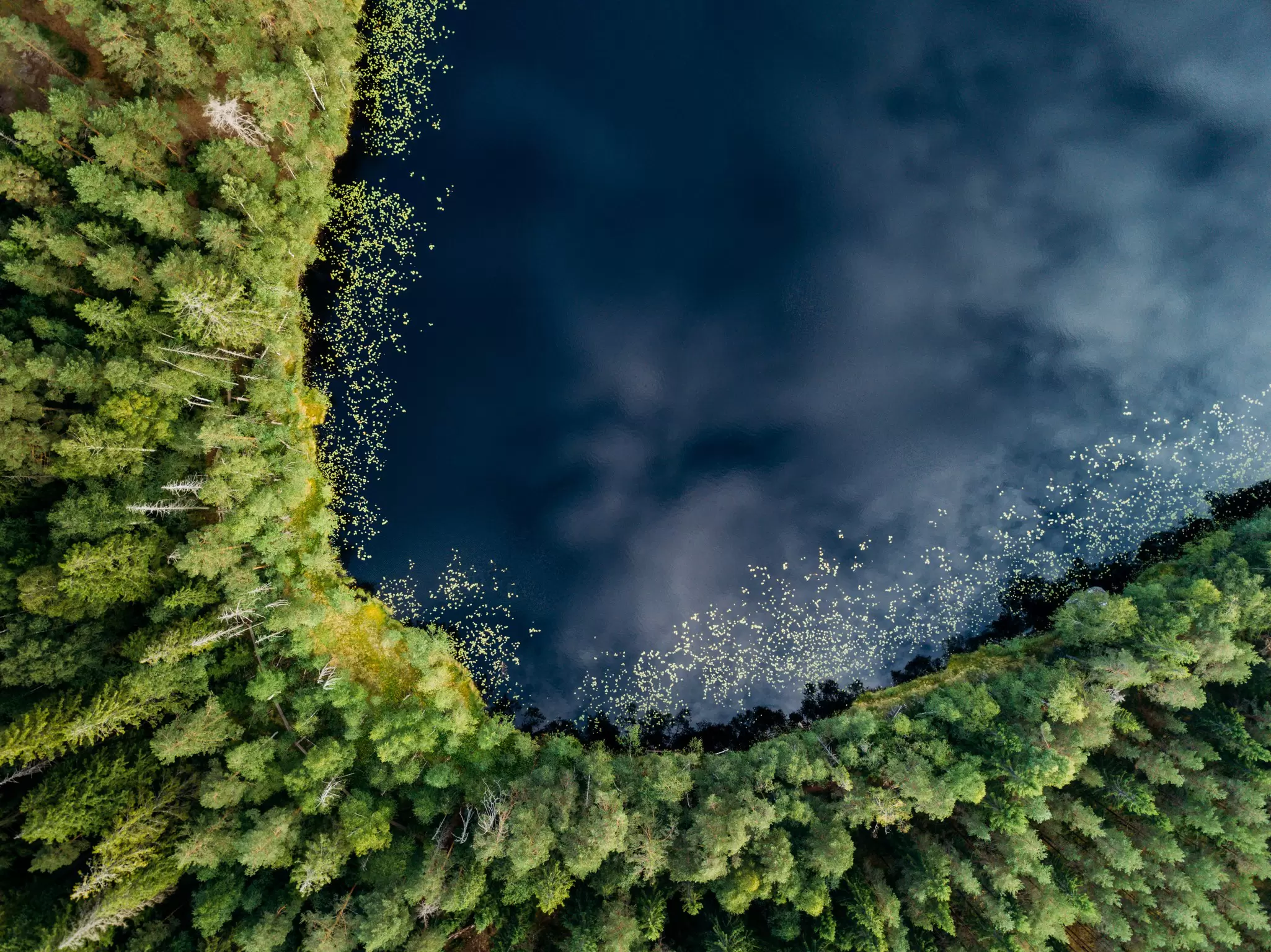 Aerial view to Nuuksio National Park (Finland, Helsinki)  License Type: media  Download Time: 2022-12-07T00:06:13.000Z  User: kjuodenas  Is Editorial: No  purchase_order:   
