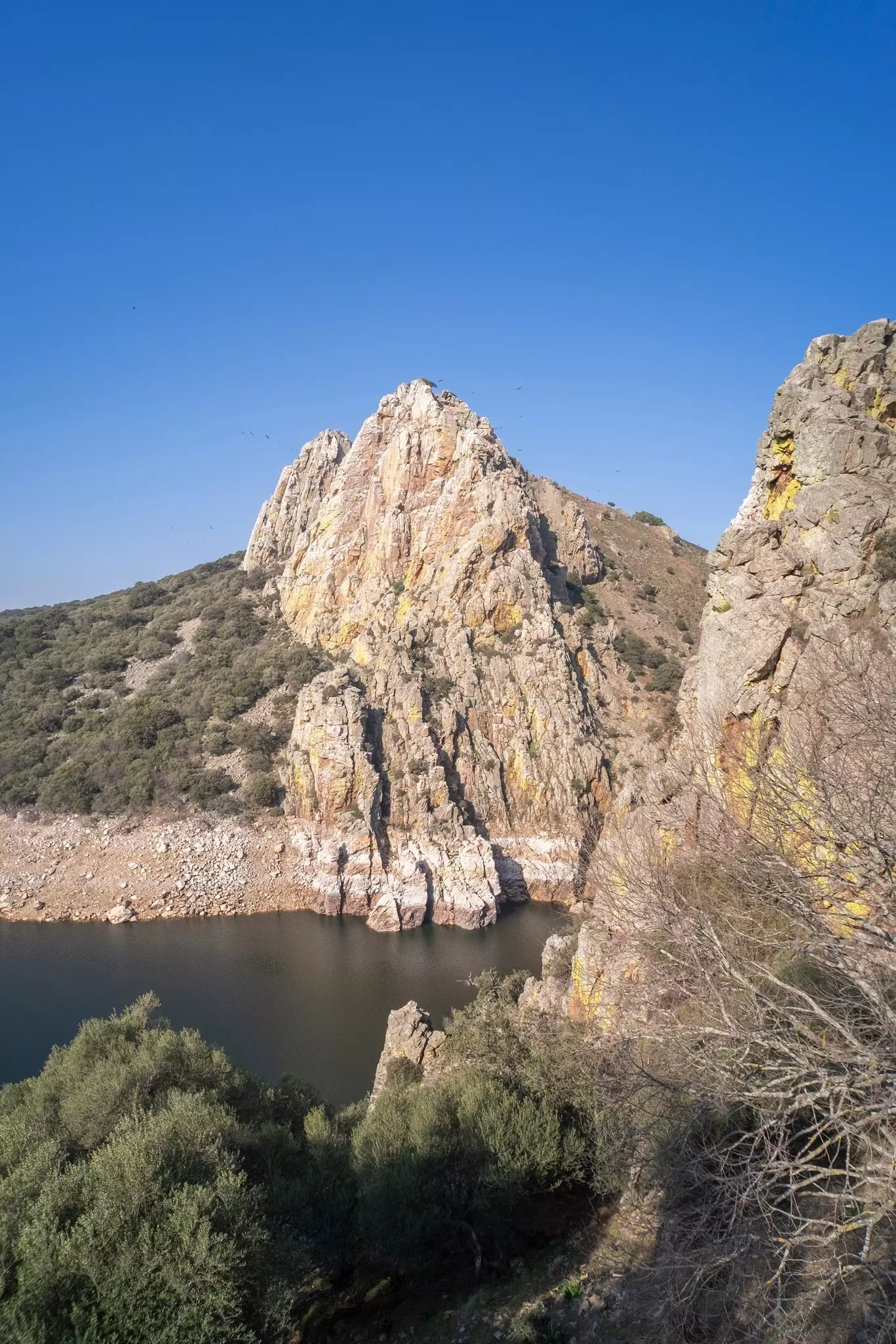 Mirador del Salto del Gitano in Monfrague National Park. Nest of a colony of black vultures over Tagus river. Province of Caceres, Spain. UNESCO Biosphere Reserve
