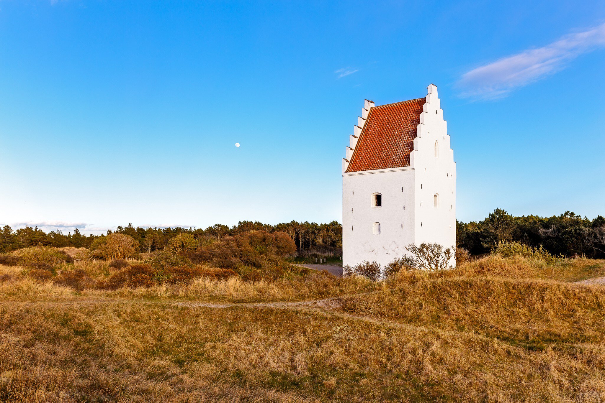 The sand-covered church, locally known as Den Tilsandede Kirke near Skagen, Denmark. 