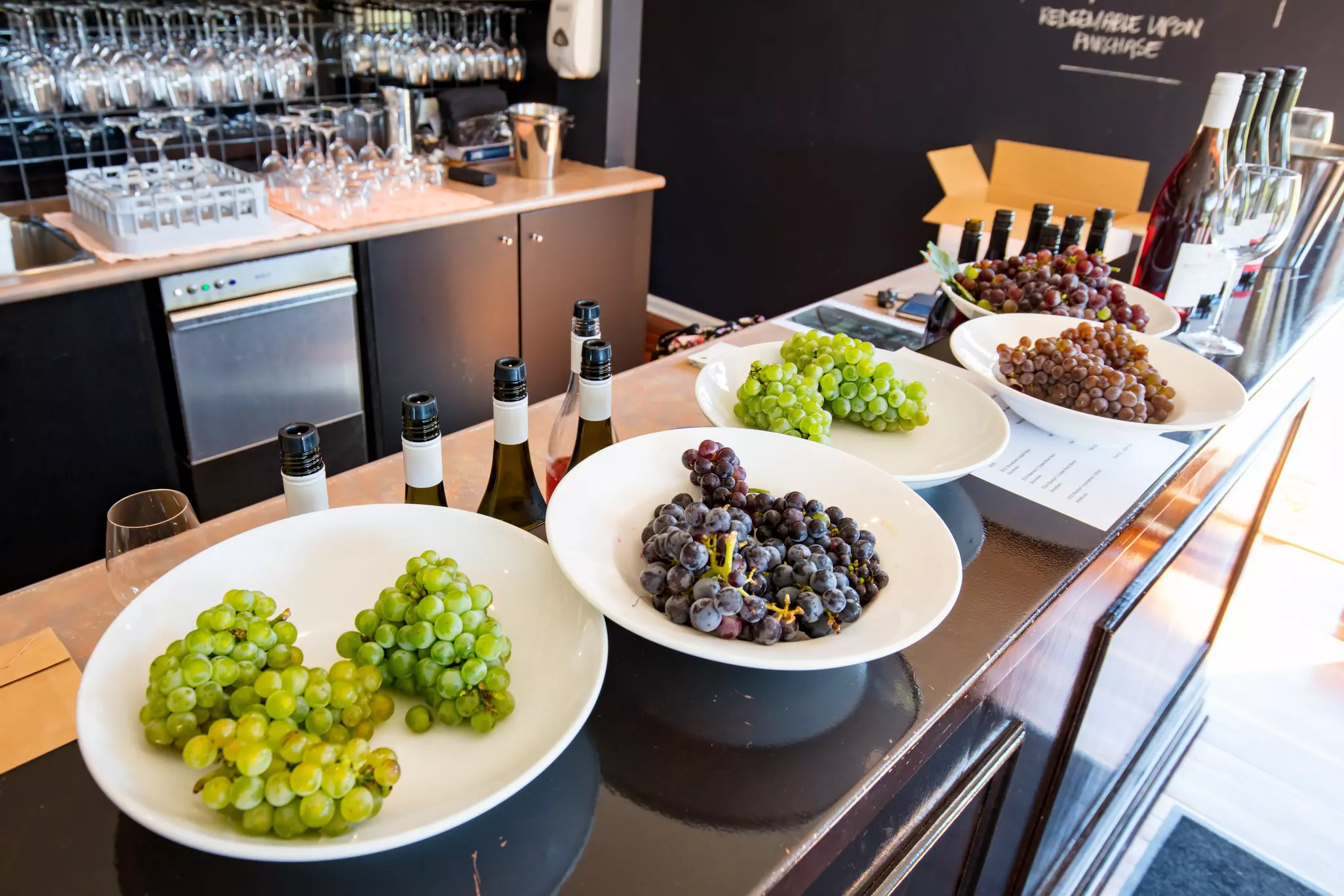 Wine grapes fresh off the vine available for tasting in the Mornington Peninsula, Victoria, Australia