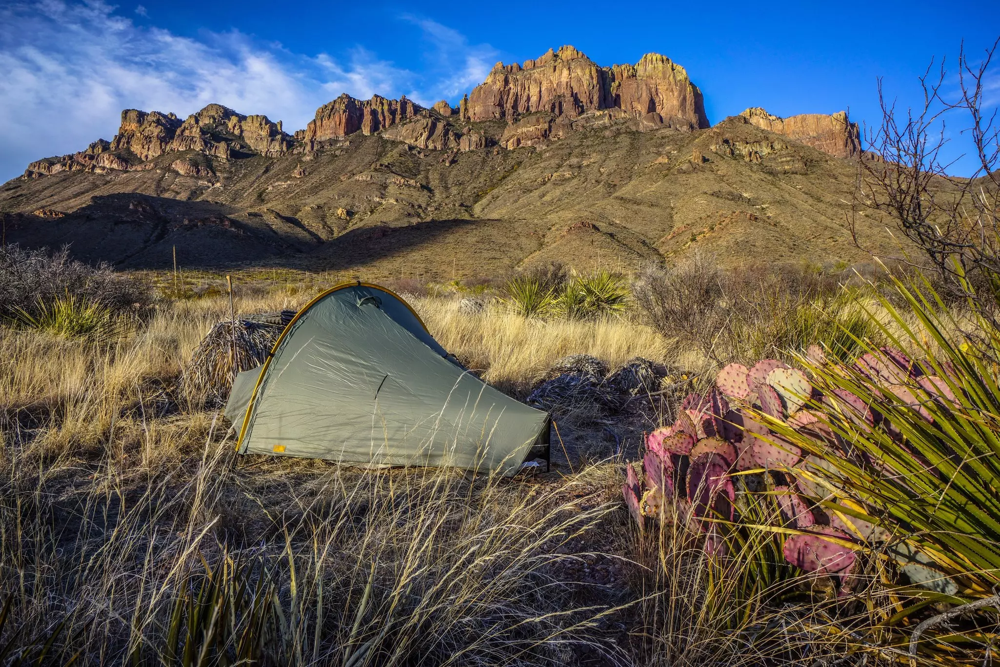 A green tent is seen among scrubby growth in a desert landscape. A ridge of rock formations looms in the distance.