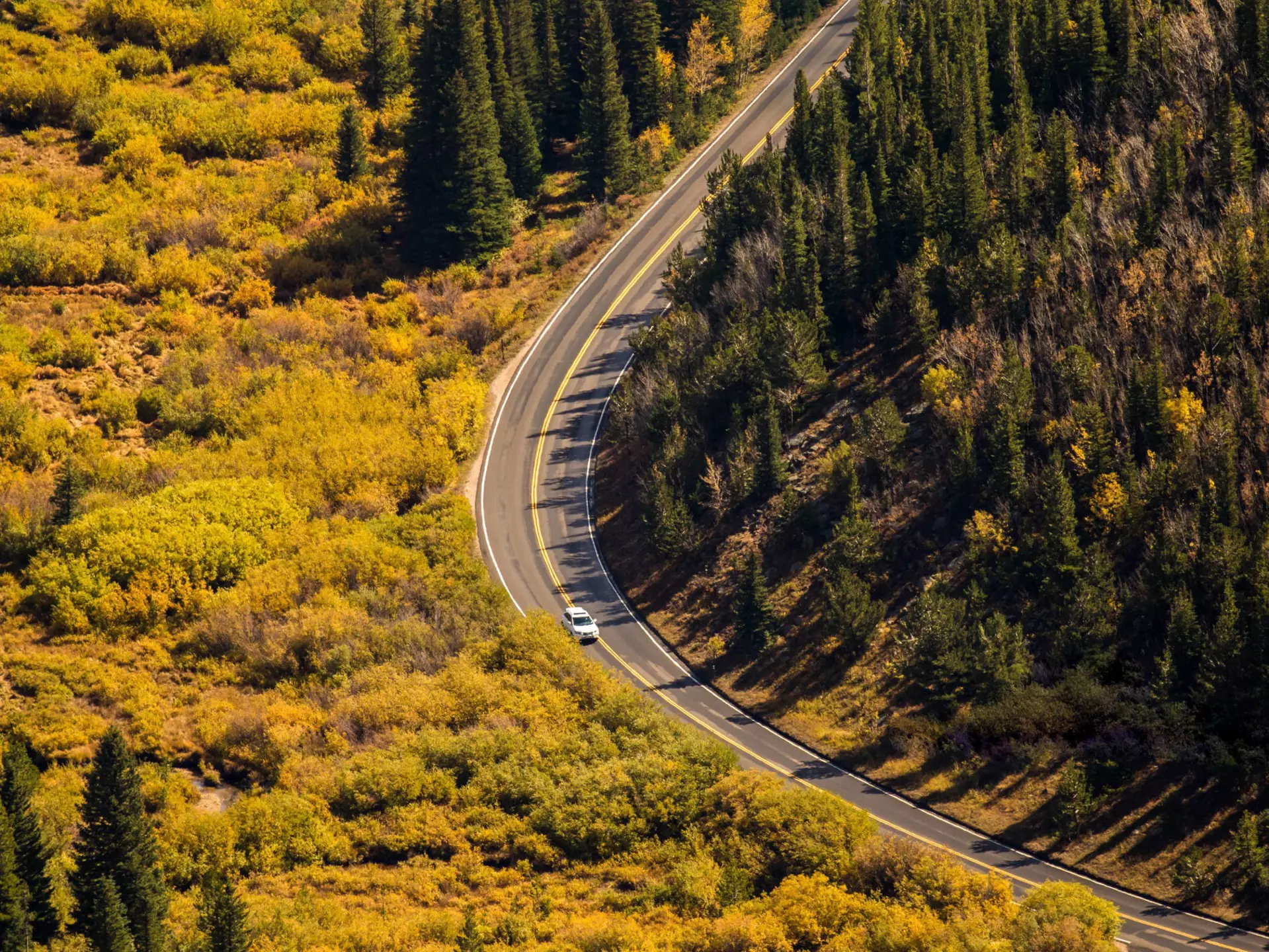 An aerial view of a single car driving around a bend in a road through a forest, with many trees showing fall foliage.