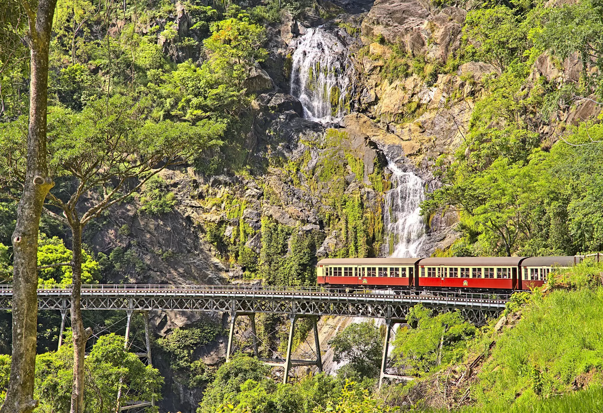 View of the Kuranda scenic railway passing through greenery along the tracks in Australia.