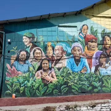 Makaibari Tea Estate Mural and painting on the side of the main processing building in Darjeeling, India.