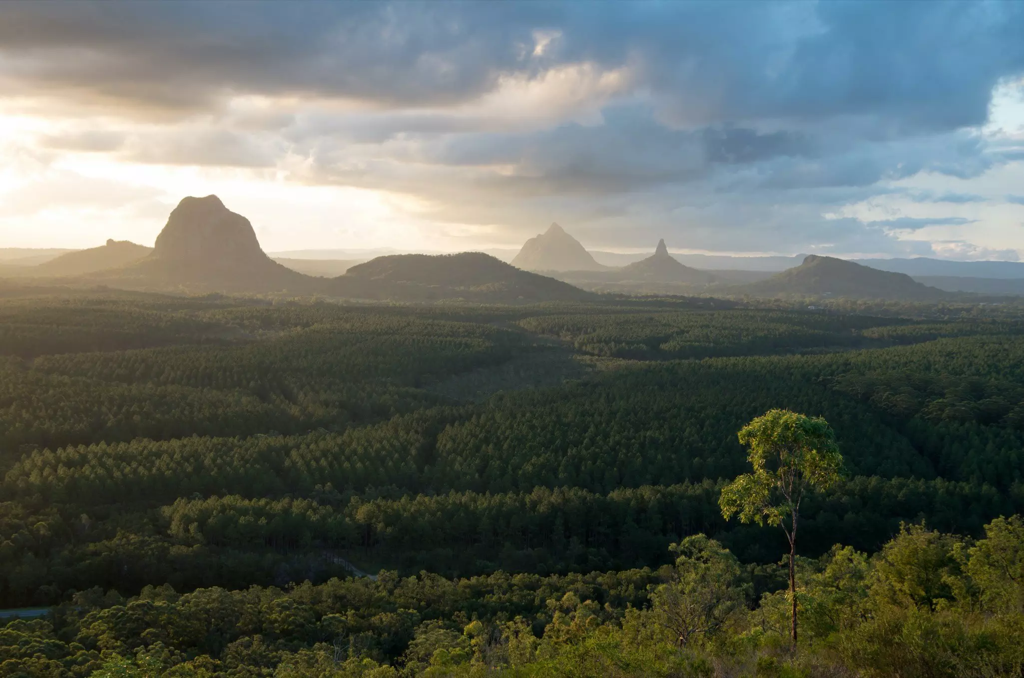 Queensland_Air_Glass_House_Mountains.jpg