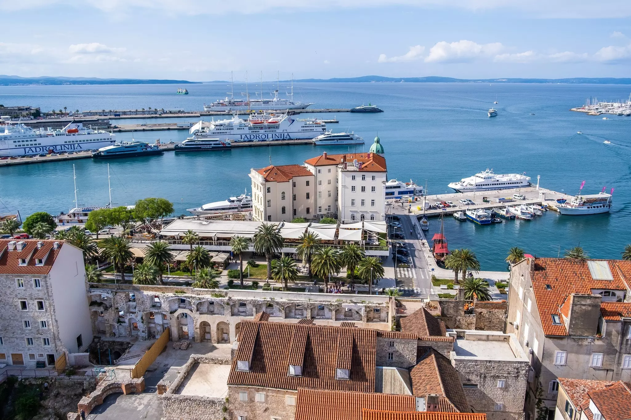 Two large ferries and several catamarans docked at a palm tree-lined harbor on a sunny day.