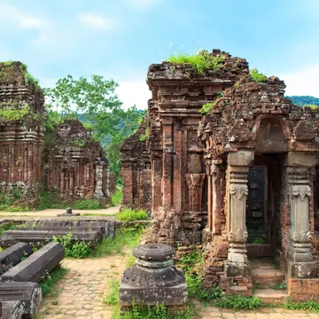 The remains of some columned temples, with plants growing from the top of them can be seen at the Cham ruins near Hoi An