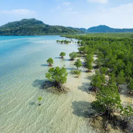 Japan's longest mangrove river, Iriomote island