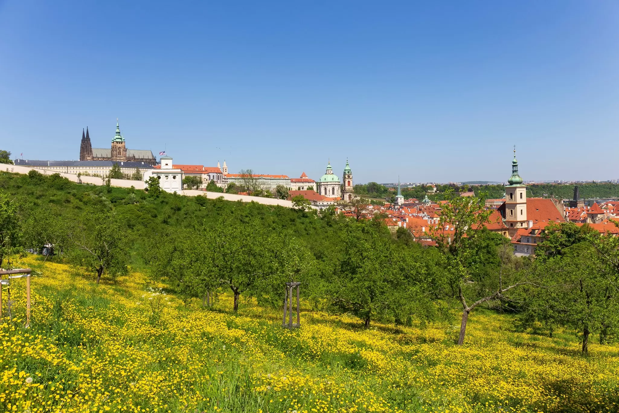 View of blooming flowers at Petřín Hill in Prague, Czechia.