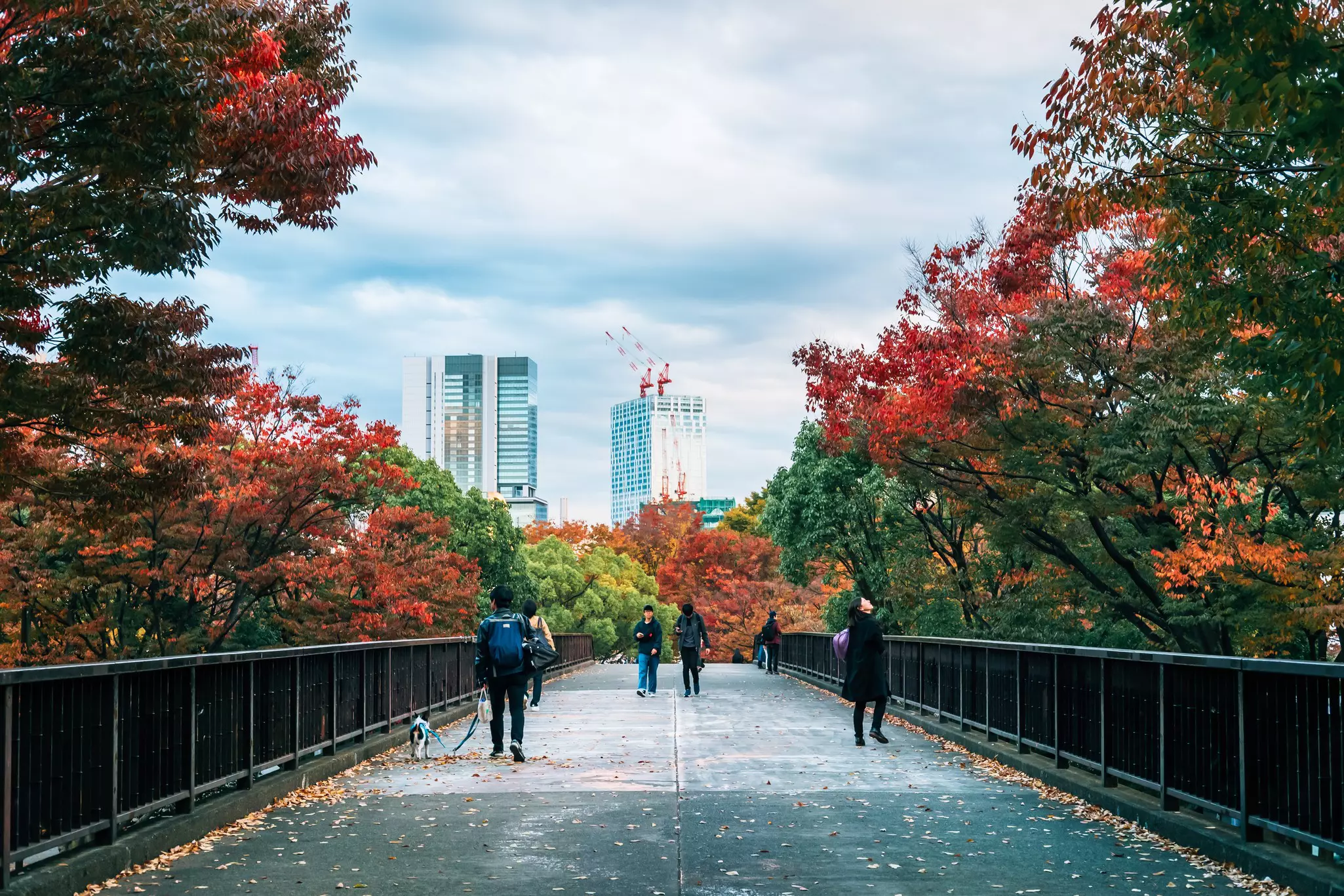 People walking over a bridge amid fall foliage with city buildings in the distance