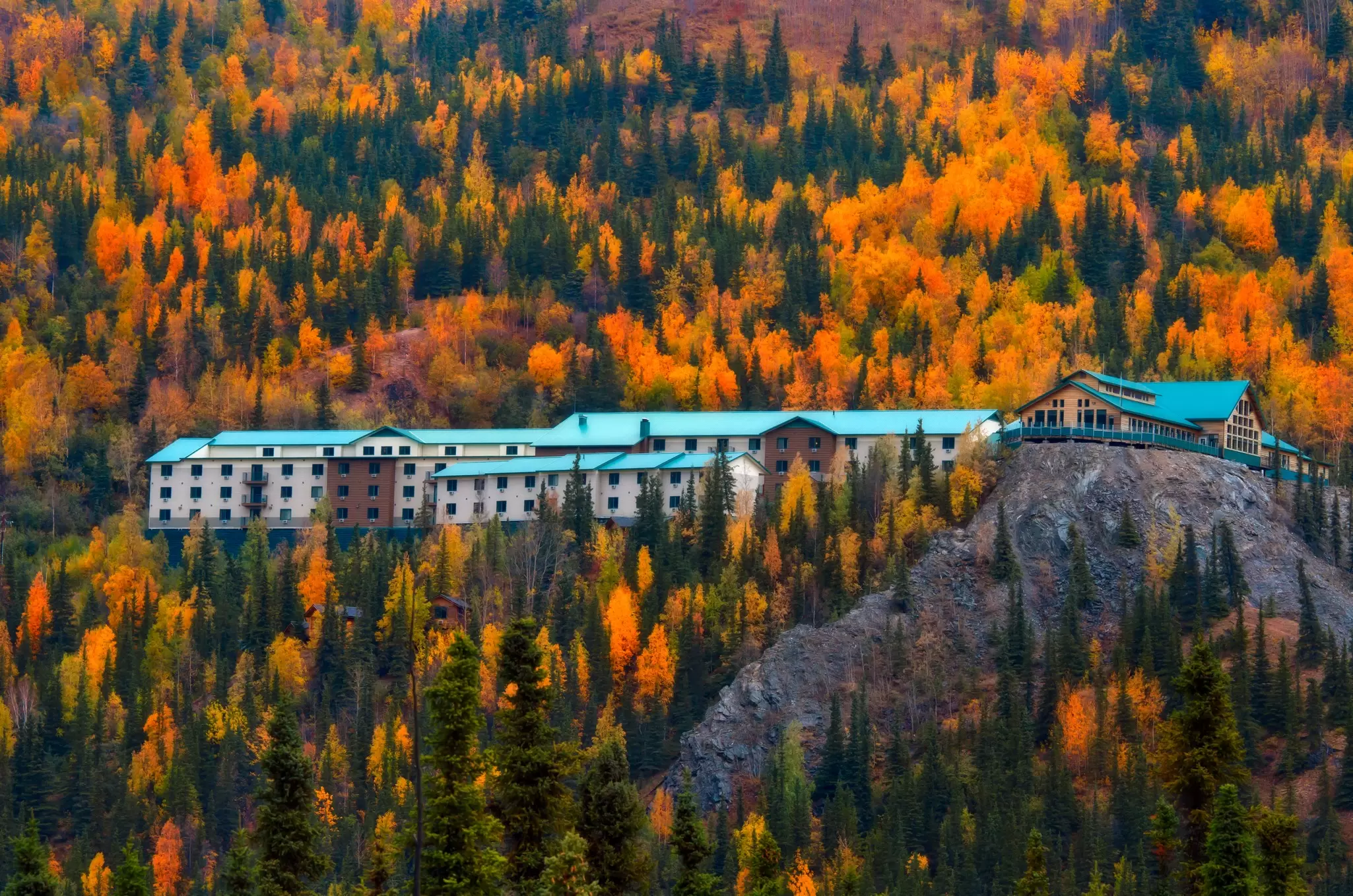 Denali National Park in Autumn
