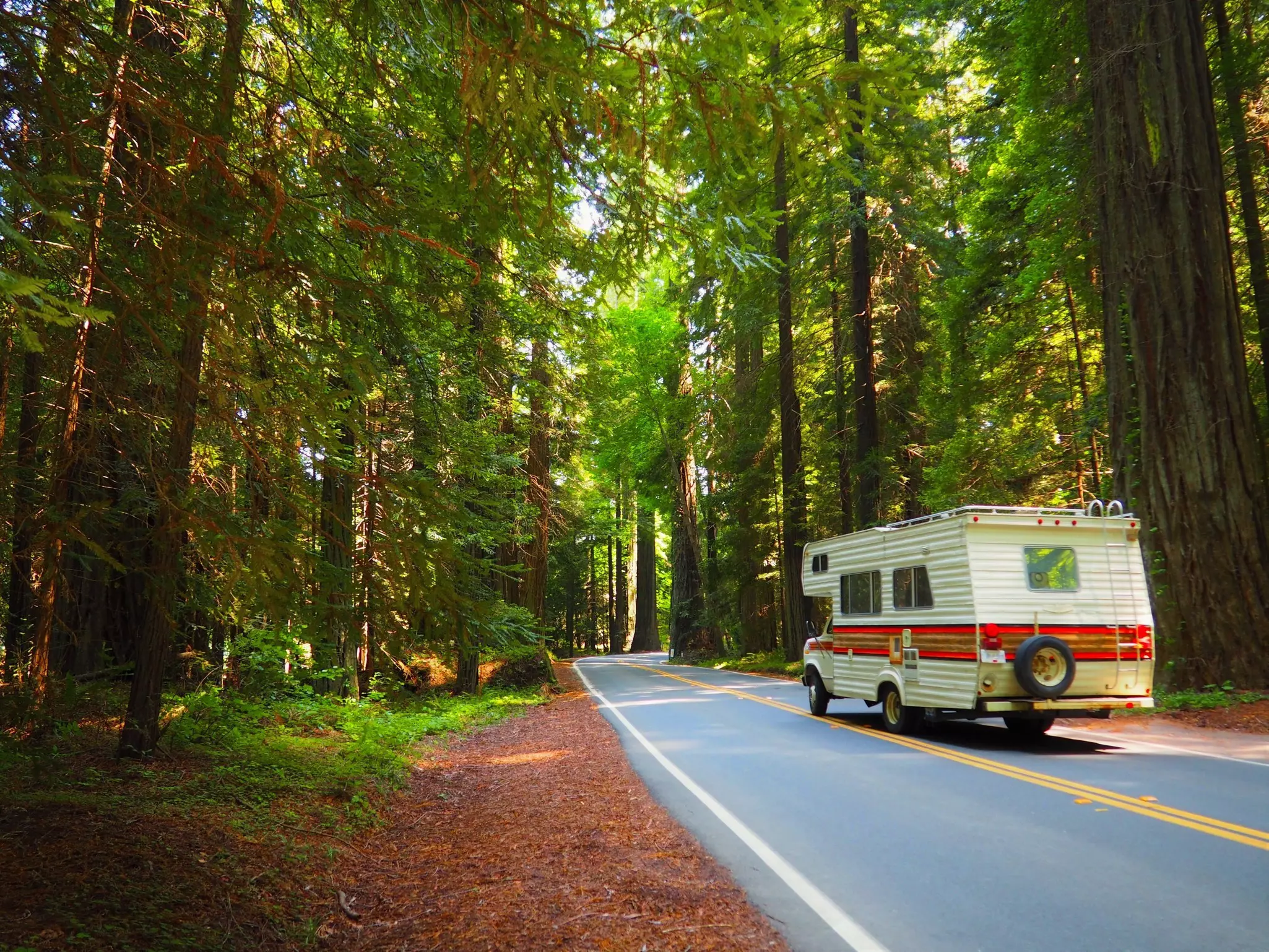 A recreational vehicle drives along a road through a forest of tall trees.