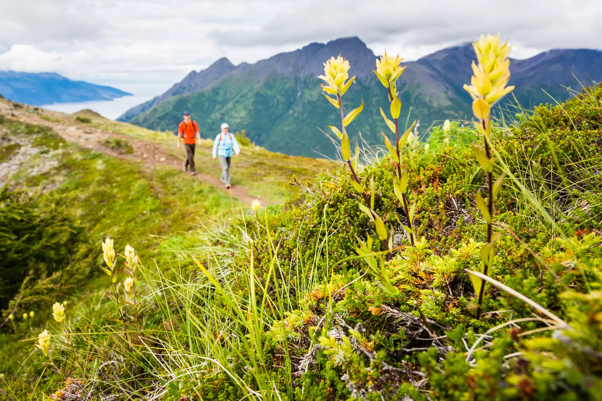 Two people follow a gorge-side trail on a summer's day through fields of green grassland.