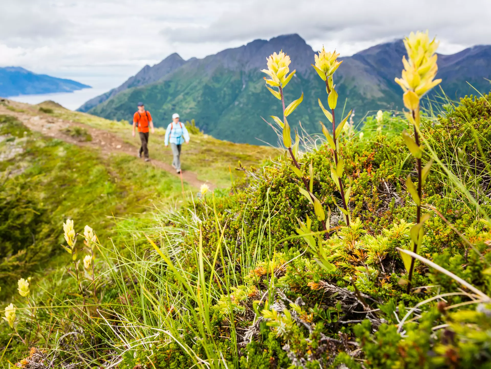 GettyImages-672845805.jpg
Hiking Bird Ridge in the Chugach Range