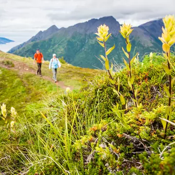 GettyImages-672845805.jpg
Hiking Bird Ridge in the Chugach Range