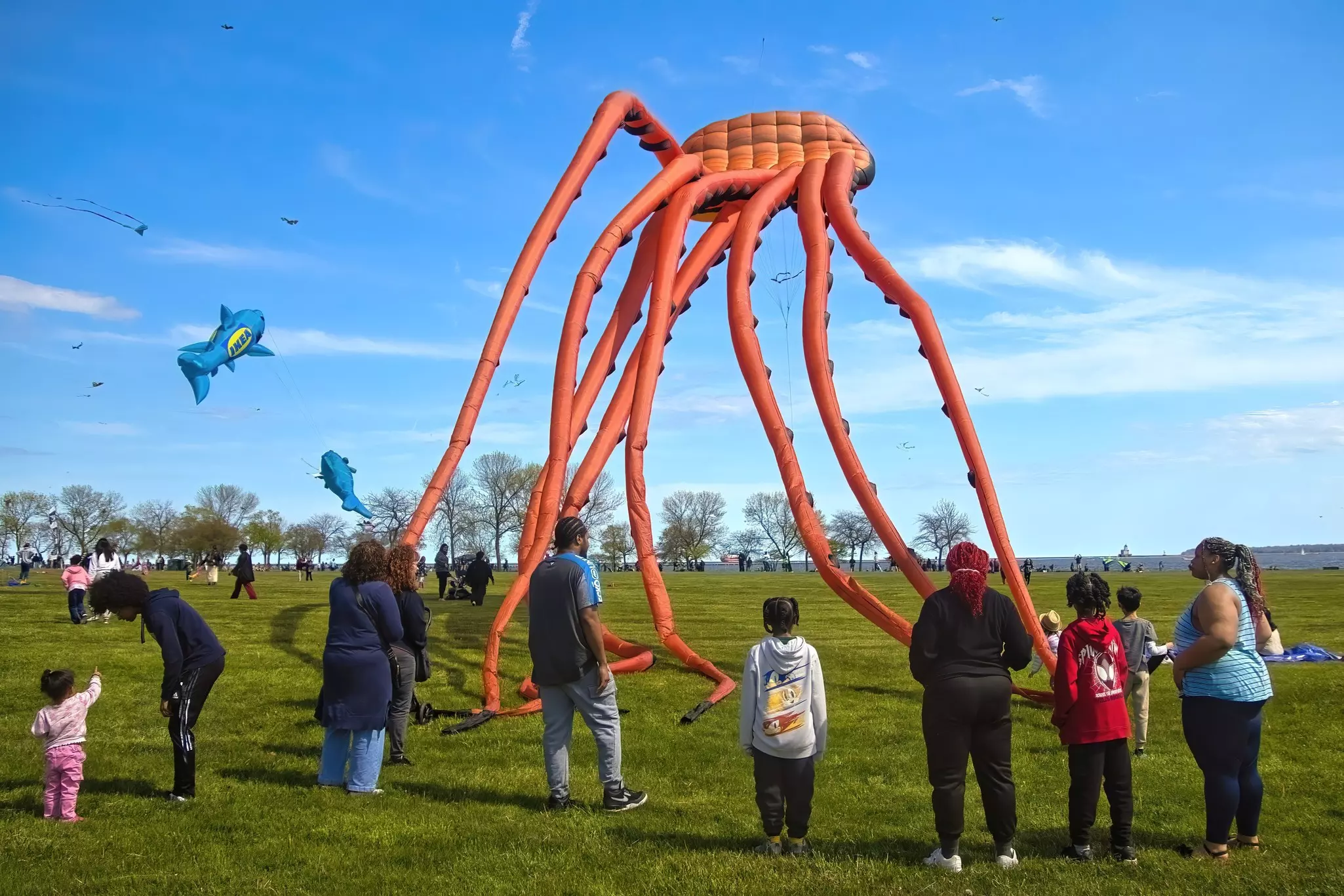People stand in a park looking at a huge kite in the form of a sea creature with spindly legs.