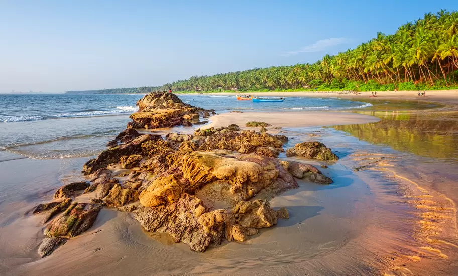 Sunbathers and fishermen with boats on Cherai beach showing rocks formations in the foreground and coconut palms as backdrop at sunset along Malabar coastline, Kannur, Kerala, south India.