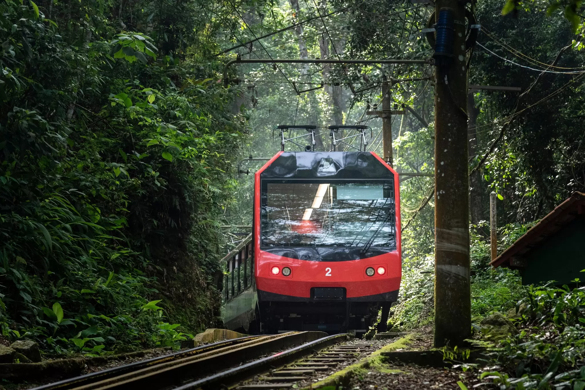 View of the red Corcovado tram passing through the green rainforest.