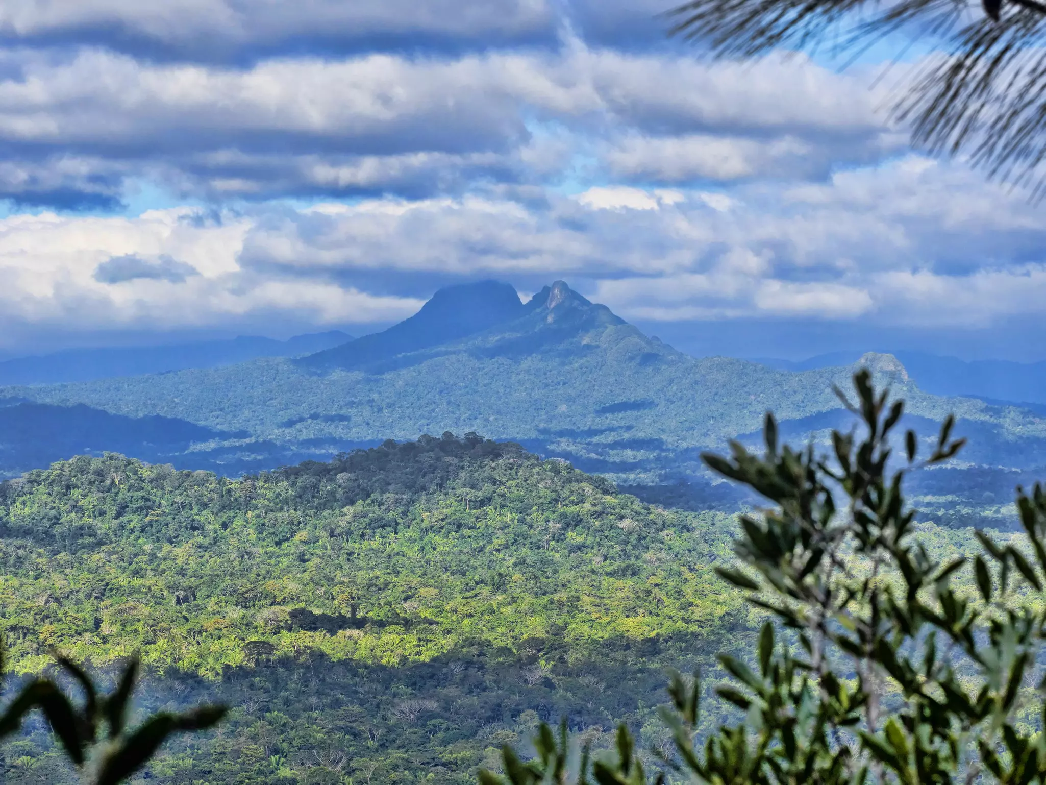 A view of a peak rising from a lush jungle under heavy clouds.
