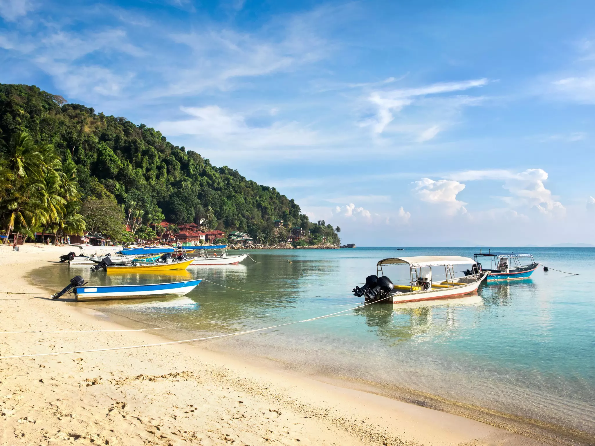 Small, colorful boats moored near a golden palm-lined beach