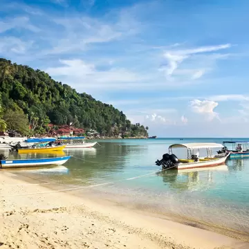 Small, colorful boats moored near a golden palm-lined beach