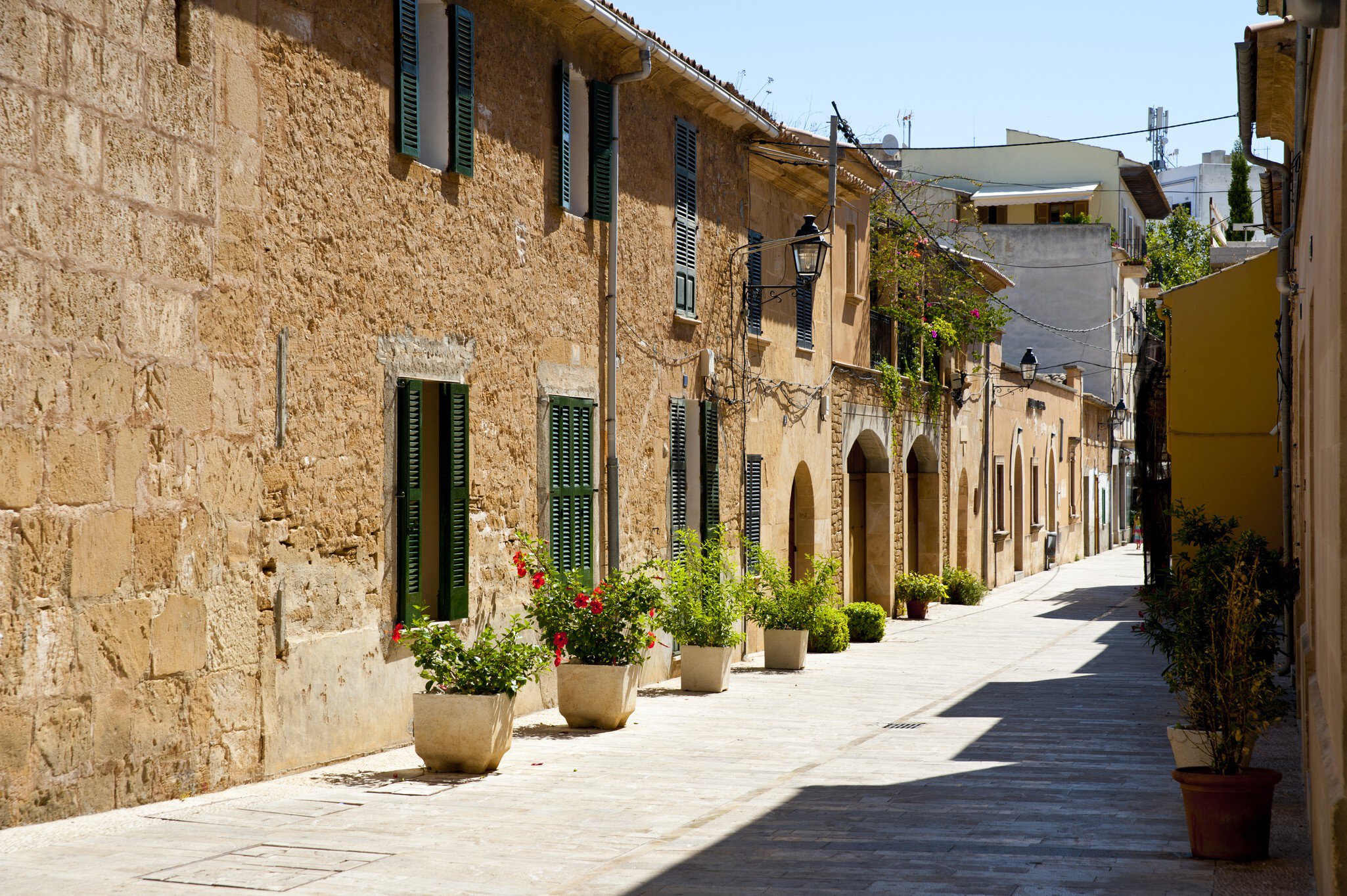 Houses in a street