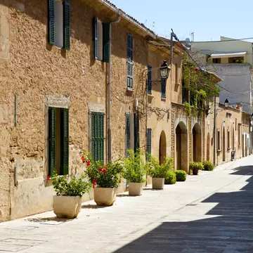 Houses in a street