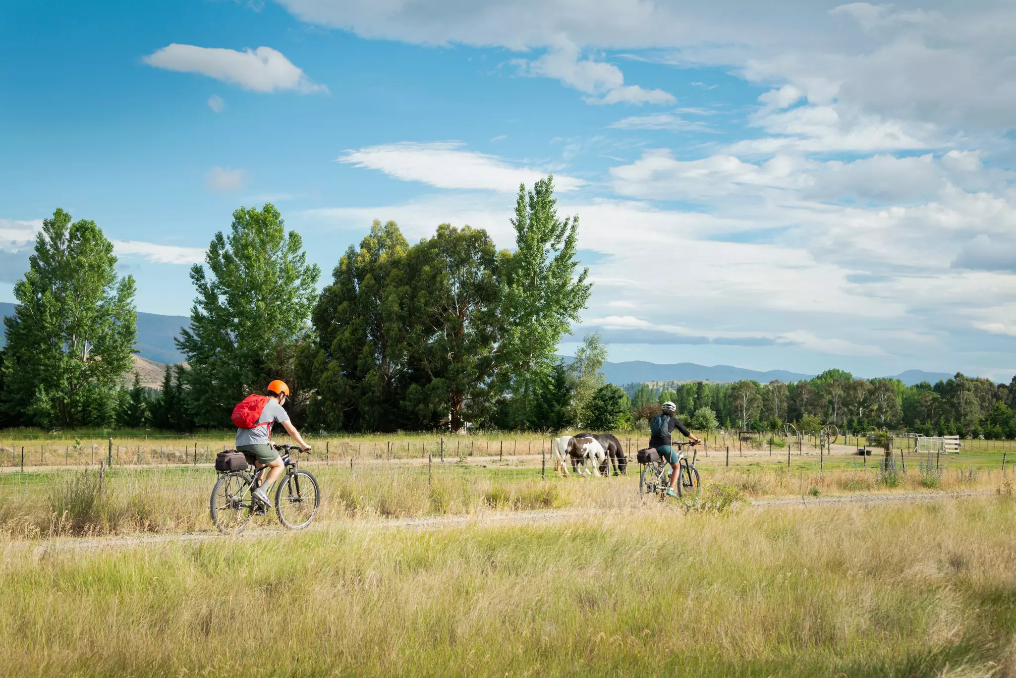 Cyclists riding along a dedicated path in a rural area
