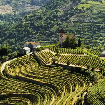 Curving rows of terraced vineyards on a green hillside in Portugal's Douro Valley, with a farmhouse and chapel above.