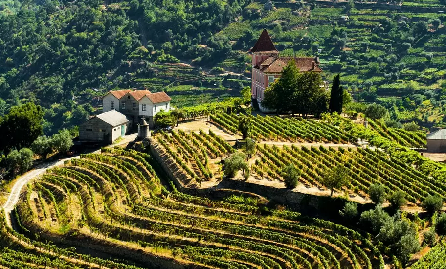 Curving rows of terraced vineyards on a green hillside in Portugal's Douro Valley, with a farmhouse and chapel above.