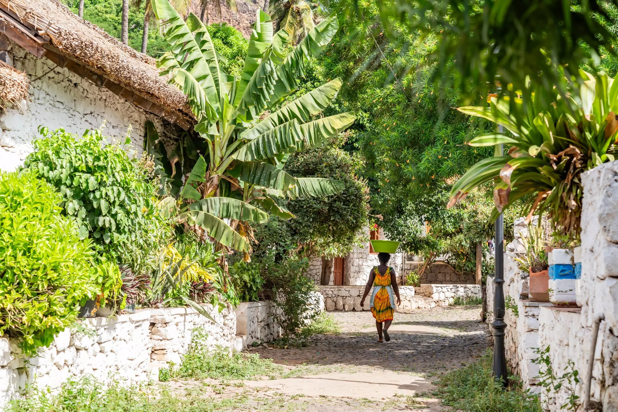 A woman balancing a water receptacle on her head walks down a street in a city shaded by palm trees.