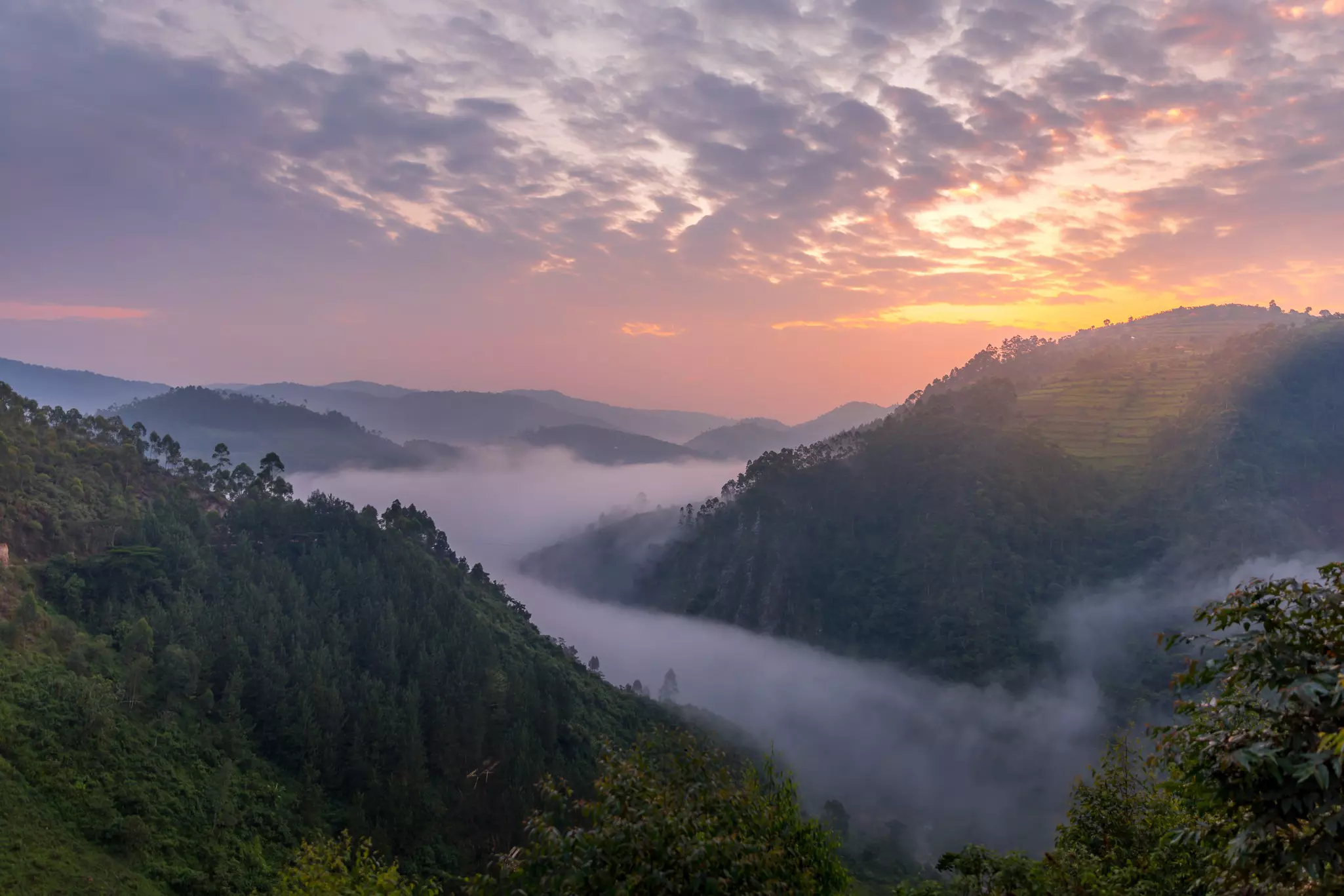 Grassy mountains with their bases shrouded in fog under low sunlight