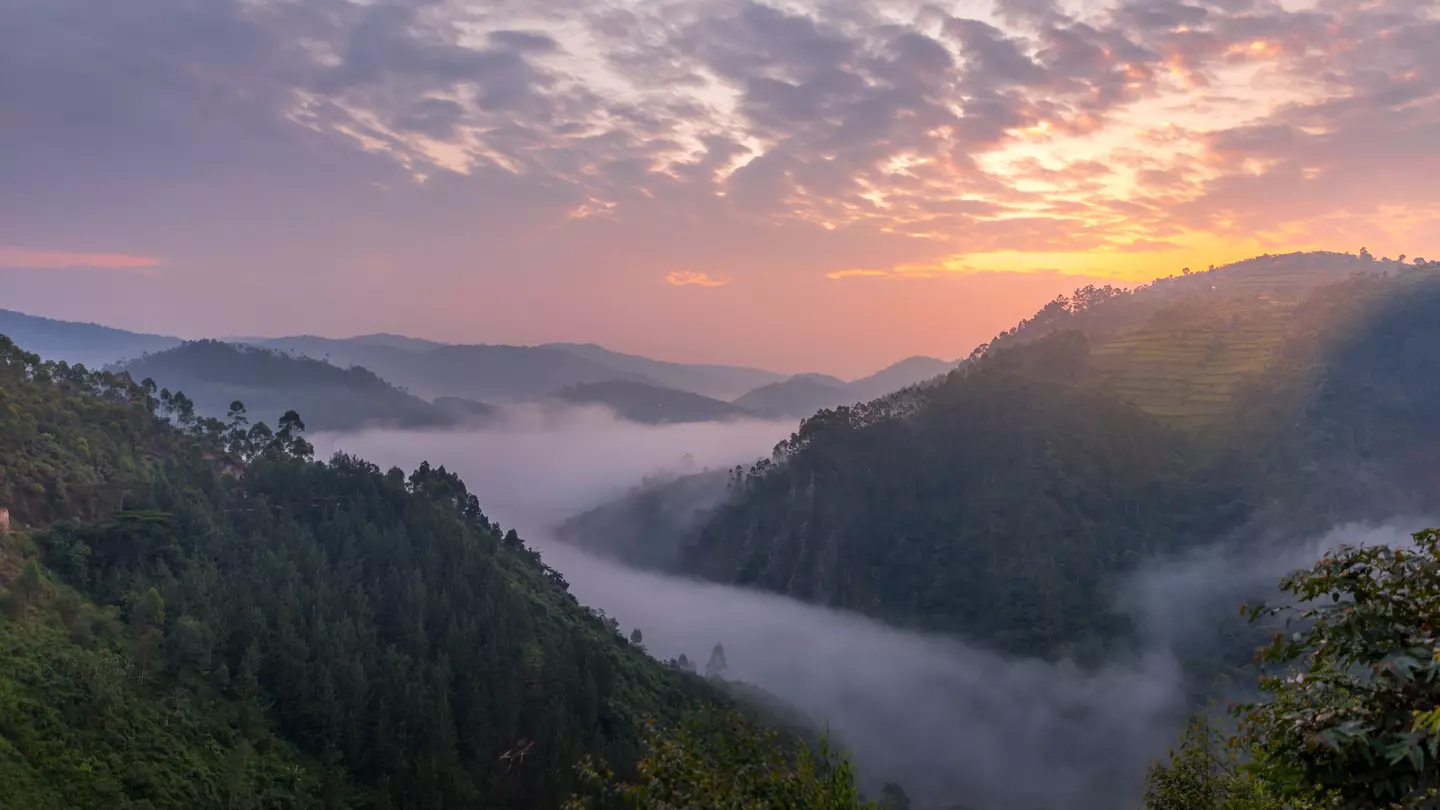 Beautiful landscape in southwestern Uganda, at the Bwindi Impenetrable Forest National Park, at the borders of Uganda, Congo and Rwanda. The Bwindi National Park is the home of the mountain gorillas.