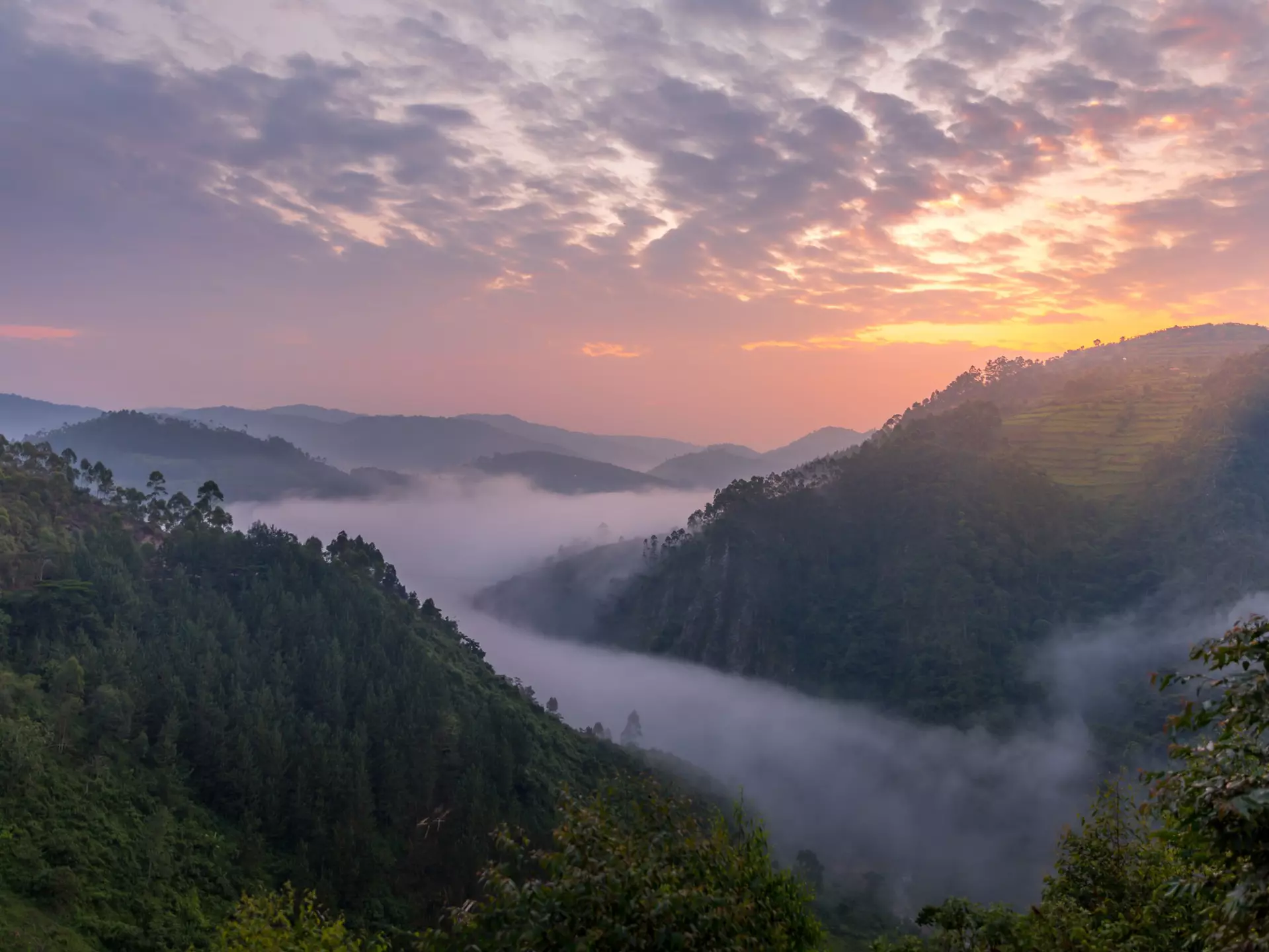 Beautiful landscape in southwestern Uganda, at the Bwindi Impenetrable Forest National Park, at the borders of Uganda, Congo and Rwanda. The Bwindi National Park is the home of the mountain gorillas.