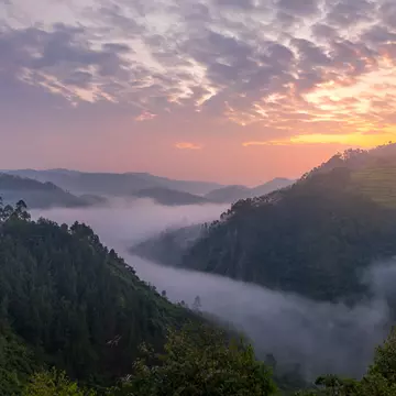 Beautiful landscape in southwestern Uganda, at the Bwindi Impenetrable Forest National Park, at the borders of Uganda, Congo and Rwanda. The Bwindi National Park is the home of the mountain gorillas.