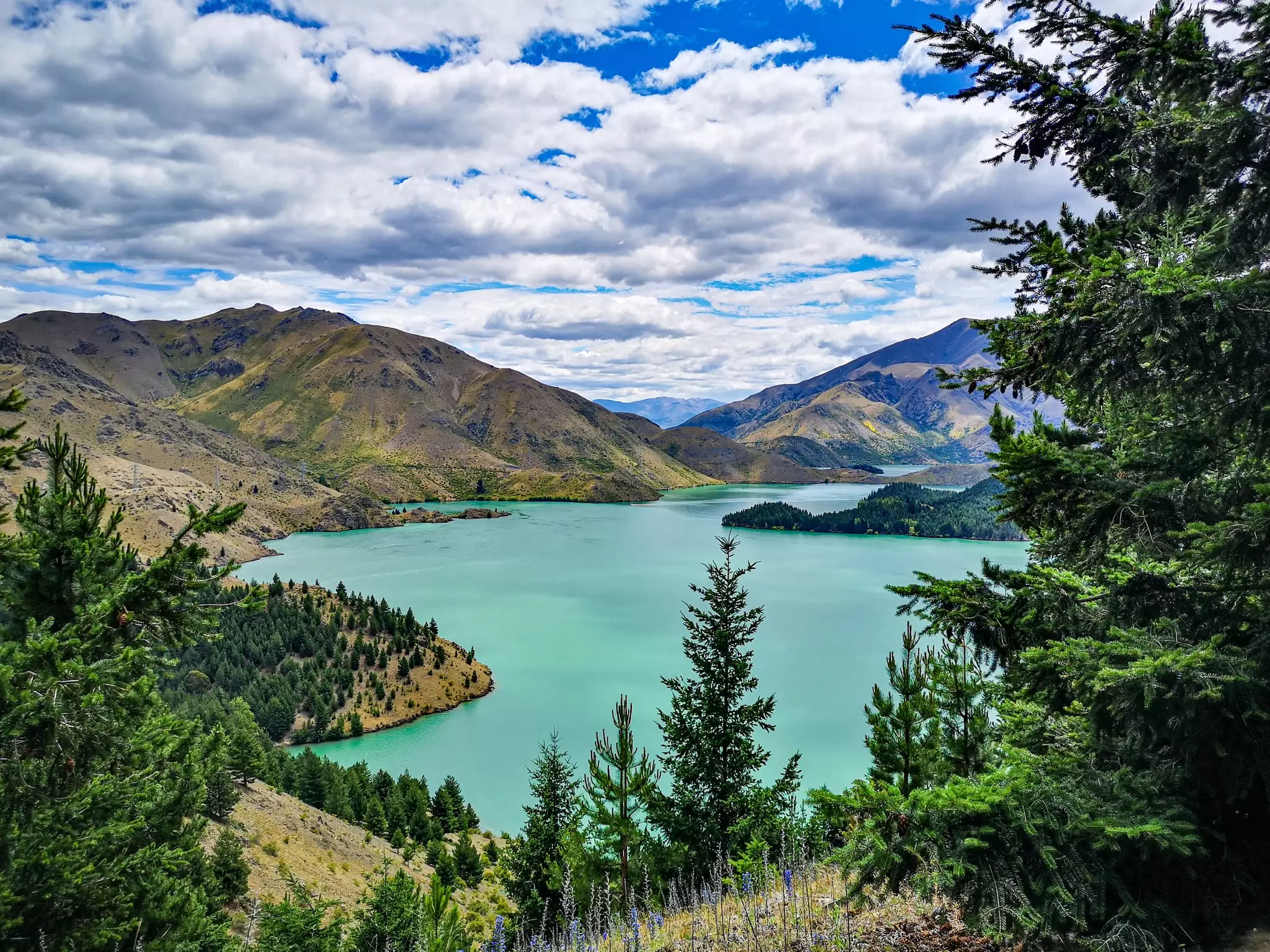 Amazing turquoise green lake view through trees, from the top of Benmore Peninsula, New Zealand 