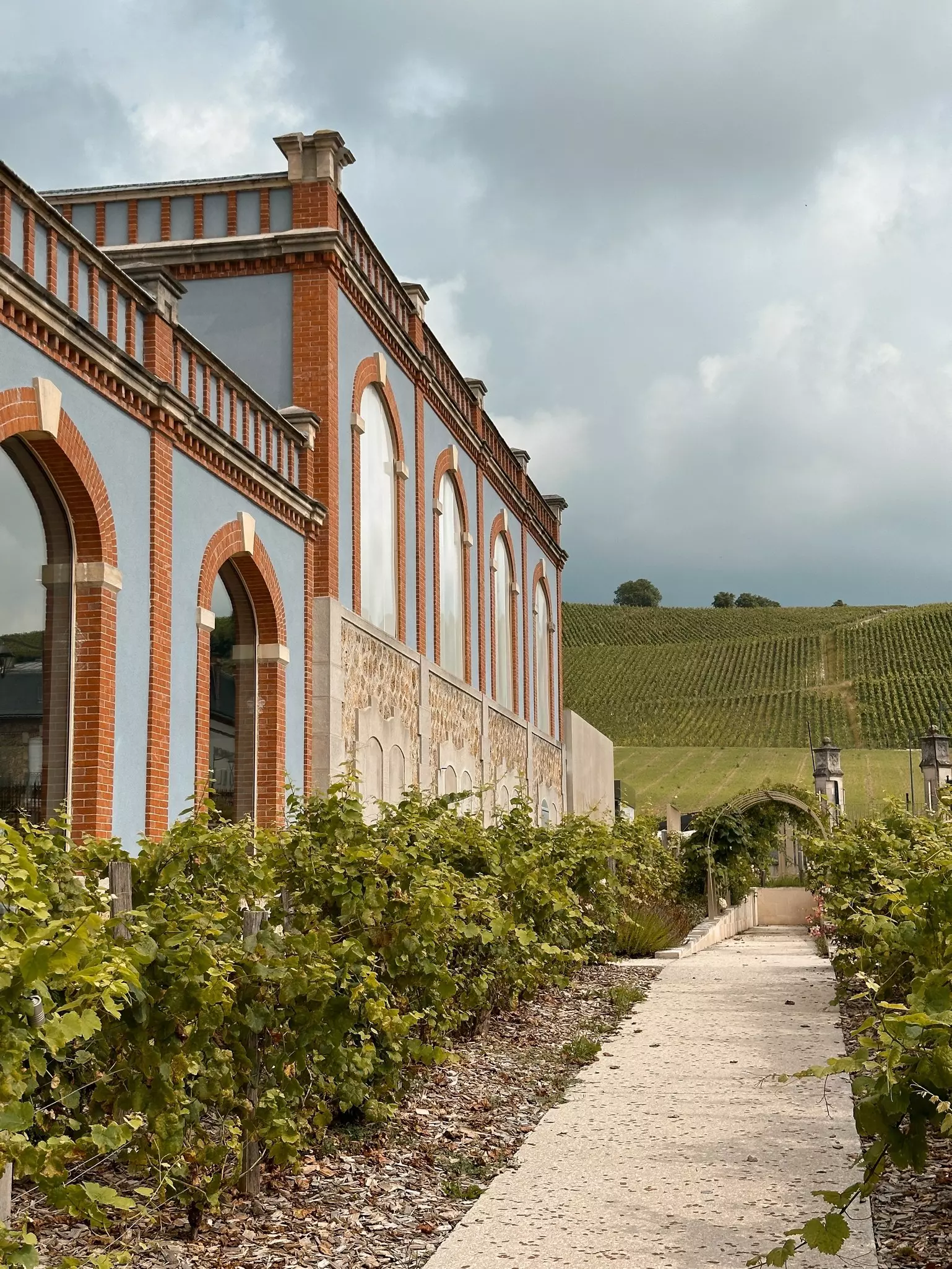 A pathway beside a building leading towards rows of green vines on a hillside.