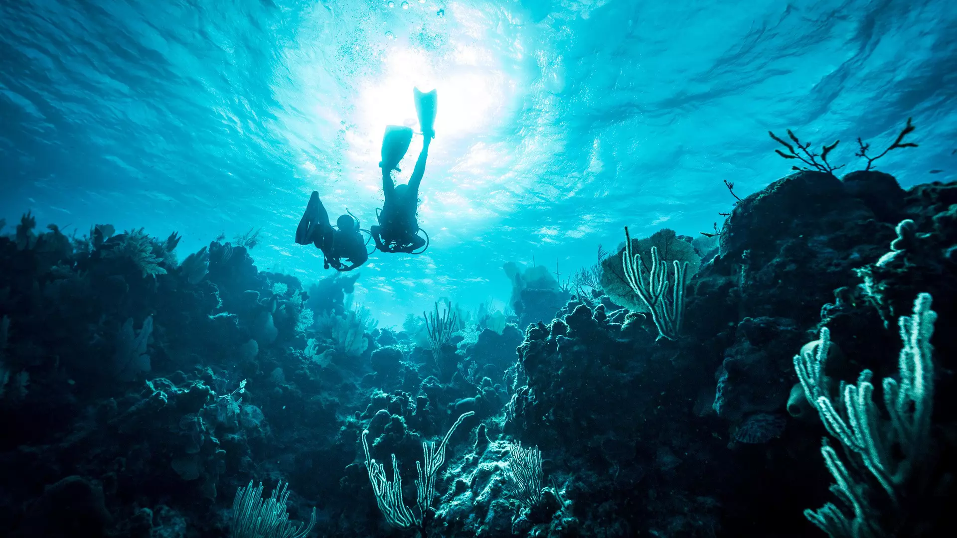 cropped for offseason landing page
GettyImages-1566431862.jpg
Two divers swimming towards sunlight in coral reef in the Cayman Islands