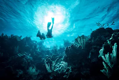 cropped for offseason landing page
GettyImages-1566431862.jpg
Two divers swimming towards sunlight in coral reef in the Cayman Islands