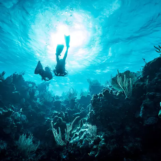 cropped for offseason landing page
GettyImages-1566431862.jpg
Two divers swimming towards sunlight in coral reef in the Cayman Islands