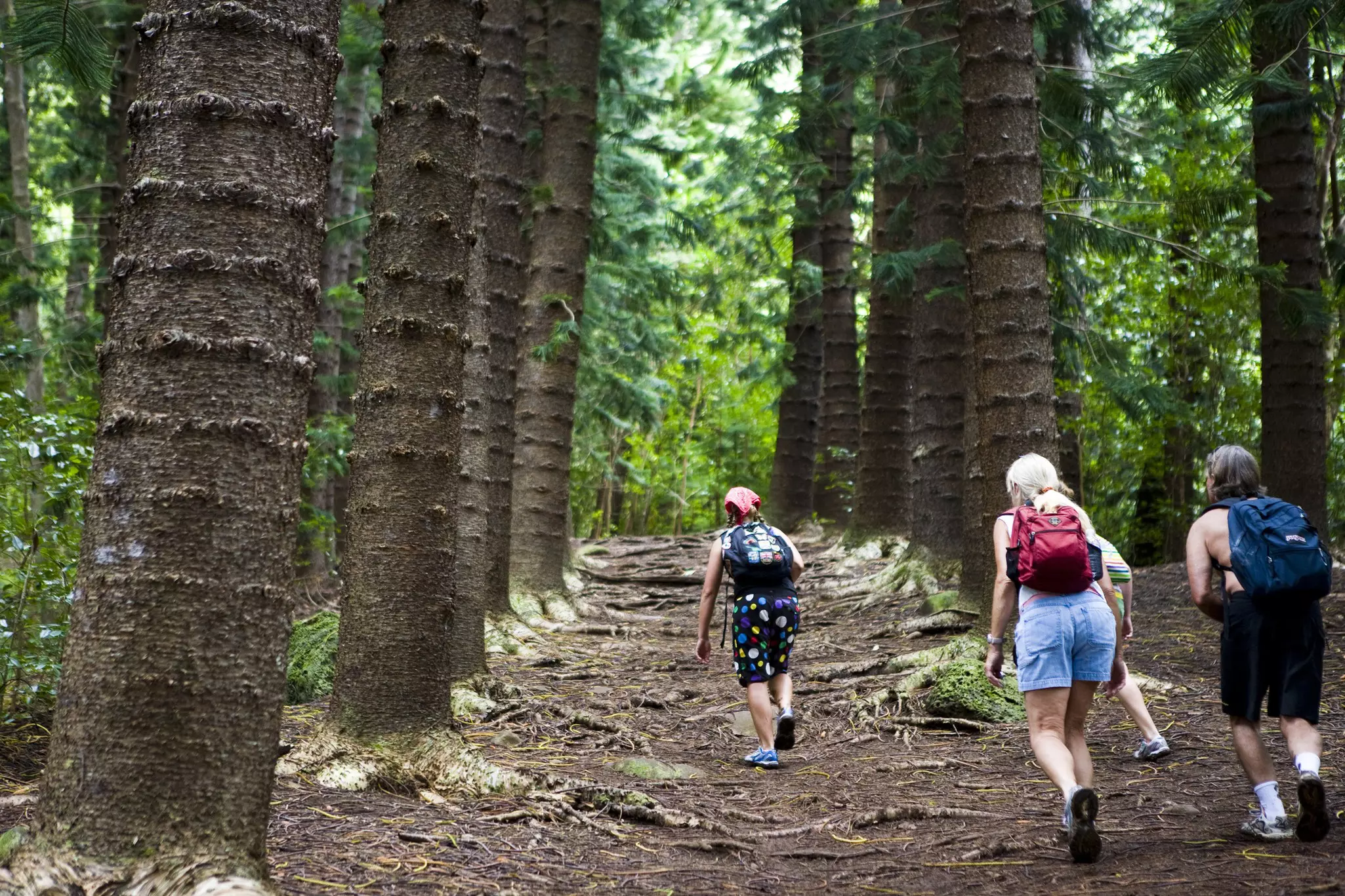 Summiting Nounou Mountain is a popular hike in Hawaii © Matthew Micah Wright / Getty Images
