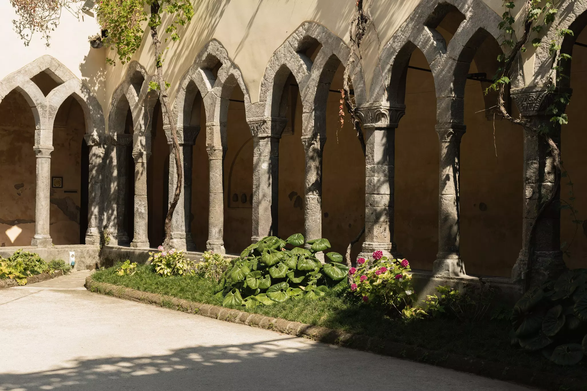 A stone courtyard with trees and plants surrounded by a historic stone building with arched designs along a rectangular path on a sunny day.