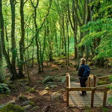 Caucasian Outdoor Active Woman on wooden stairs Overlooking Lush forests in Stenshuvud National Park with High Biodiversity in Osterlen Skane, South Sweden. ; Shutterstock ID 1748049050;
